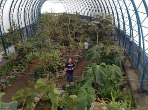 Greenhouse Tropical Garden.
