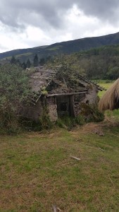 Not Sure What This Building Could Have Been.