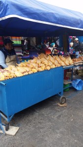 These Chickens Sit Out All Day.