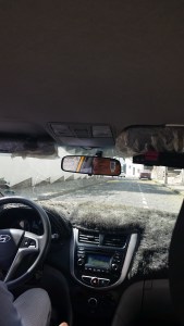 Lots of Fur Going on.