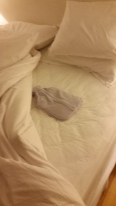 Tod was Not as Crazy About the Hot Water Bottle as I Was However, He was Tolerant of the Fire!