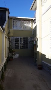 Windows looking into the living room. 