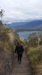 Must Come Down. Then Back Up. Then Back Down.