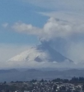 Tod Cropped a Version so you could have a Closeup.