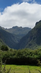 The Trail View Was Beautiful.