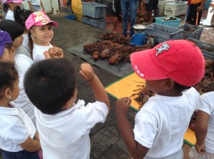 He Will Protect Everyone.