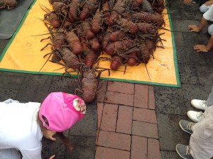 She was Screaming and Giggling. 