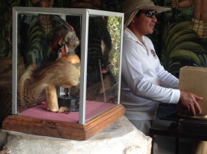 Shrunken Heads - What Else Would They Be?