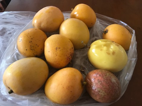 Mangos Passion Fruit